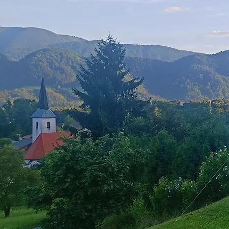 Apartmaji Borstner *