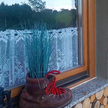 Appartamento Apartmaji Borstner *