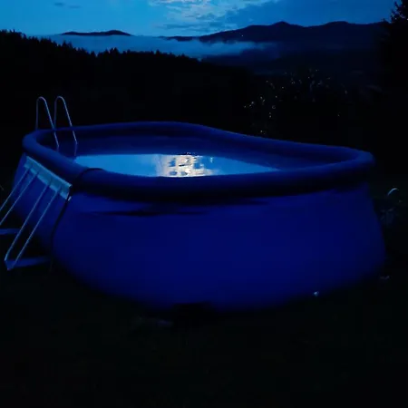 Apartmaji Borstner *