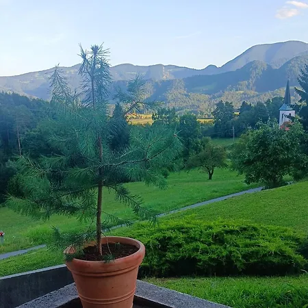 Lejlighed Apartmaji Borstner Vransko