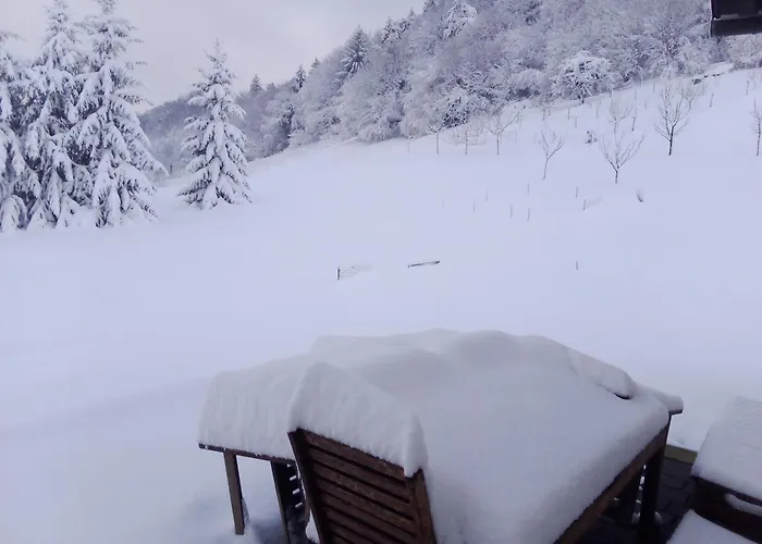 Apartmaji Borstner Apartman *