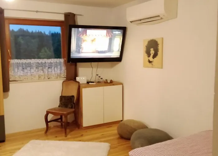 Apartmaji Borstner Apartman Vransko